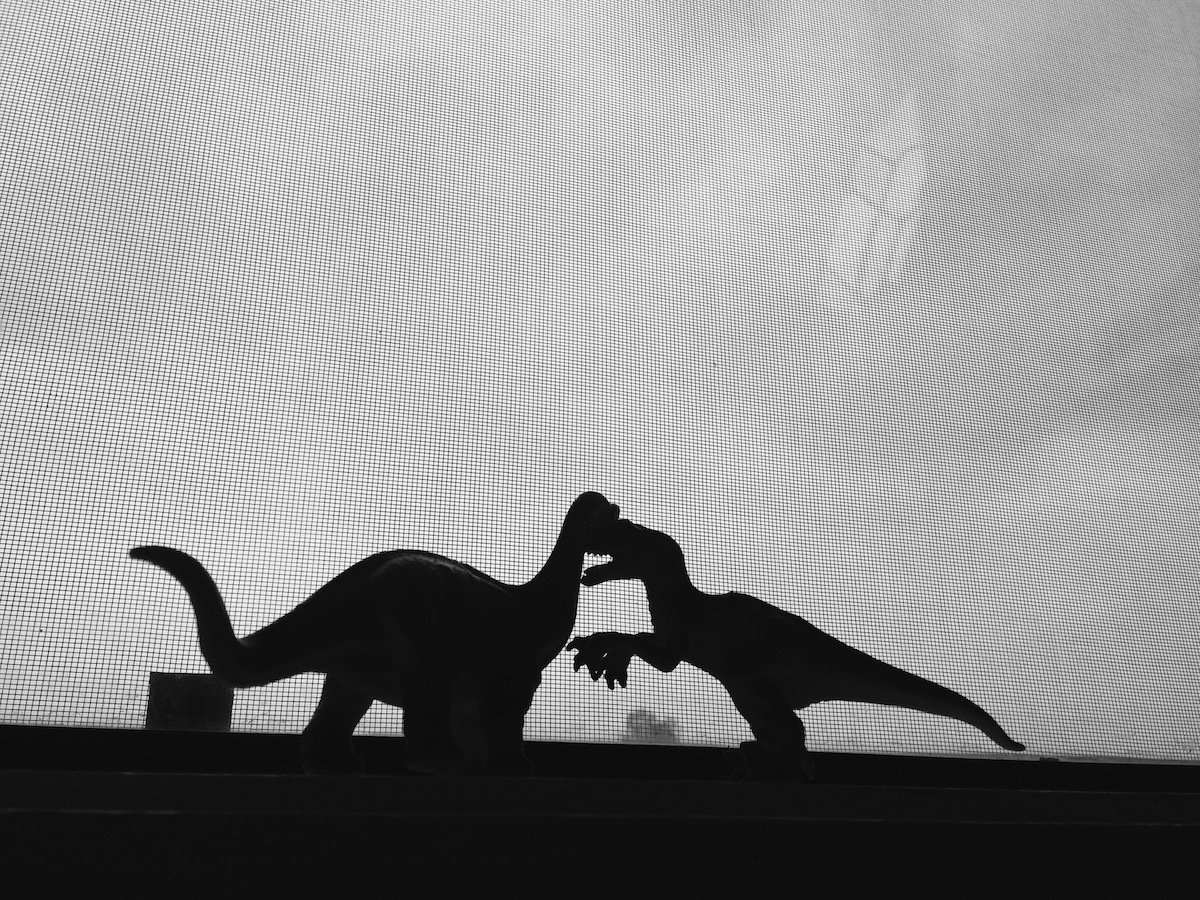 Nauka i edukacja w Parku Dinozaurów: czy dinozaury wyginęły naprawdę?